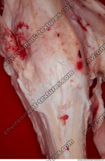 Photo Textures of RAW Bones Beef